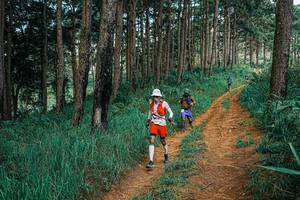 BIB: 
                            <button type="button" onclick="openModal(25753418)" class="btn btn-primary btn-sm float-right btn-popup" data-toggle="modal" data-target=".modal-high-quality">
                        <i class="fas fa-shopping-cart"></i> Add to Cart
                    </button>
                                            <button type="button" onclick="isThisMe(25753418, true)" class="btn btn-success btn-sm float-right btn-popup btn-isme hidden" data-toggle="tooltip" data-placement="bottom" title="นี่คือรูปของคุณใช่ไหม คลิกที่นี่เพื่อเอาเข้าอัลบั้ม">
                        <i class="fas fa-plus"></i> Add to album
                    </button>
                    <button type="button" onclick="isThisMe(25753418, false)" class="btn btn-warning btn-sm float-right btn-popup btn-isnotme hidden">
                        <i class="fas fa-ban"></i> Remove from album
                    </button>